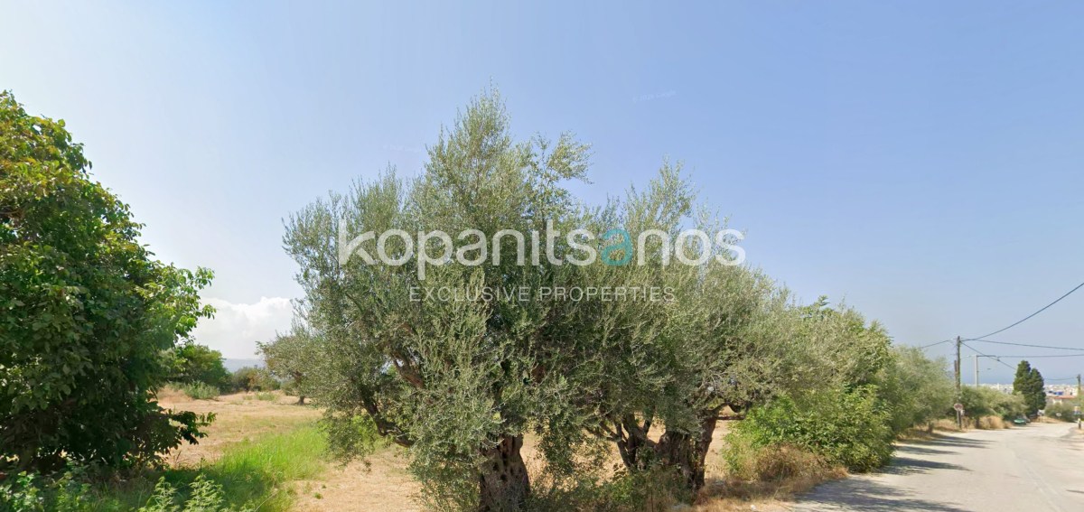 property-img