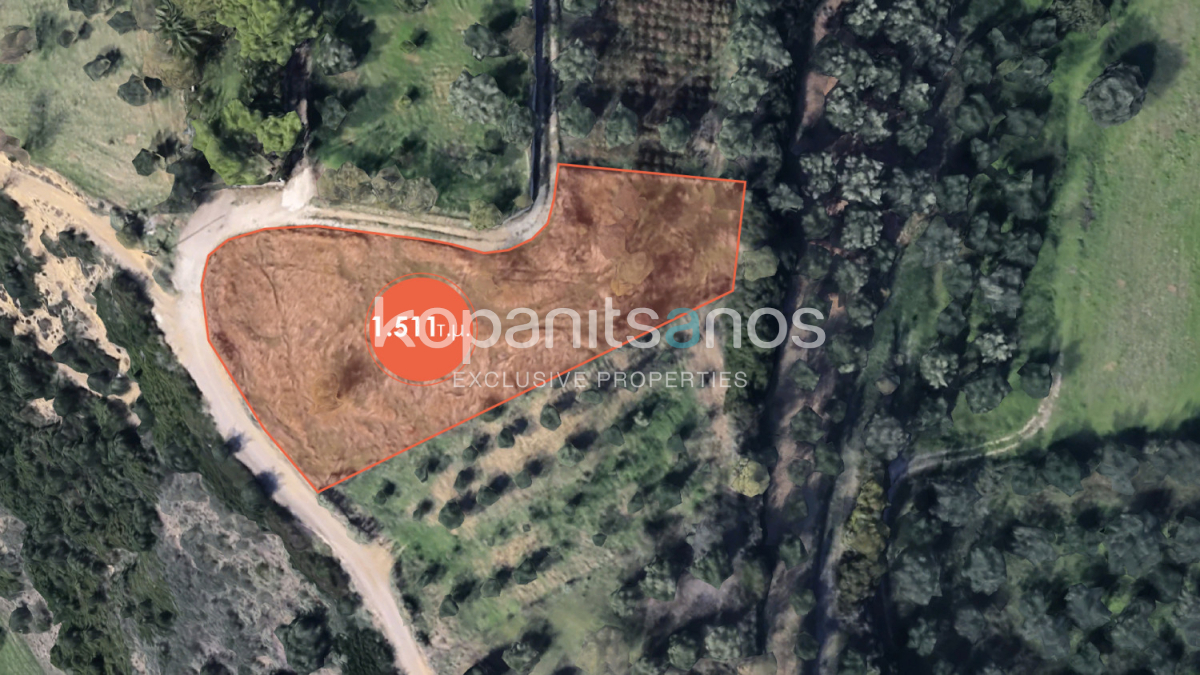 property-img